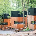 Forest Cube