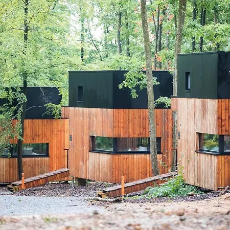 Forest Cube