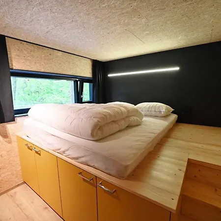 Forest Cube *