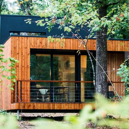 Forest Cube Oignies