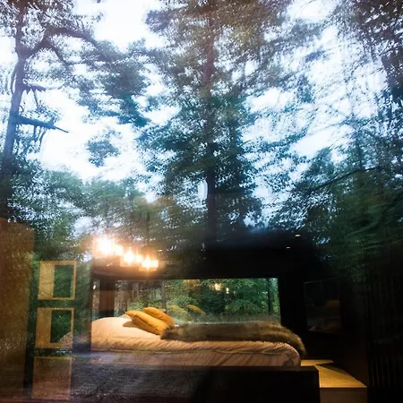 Tatil Evi Forest Cube *