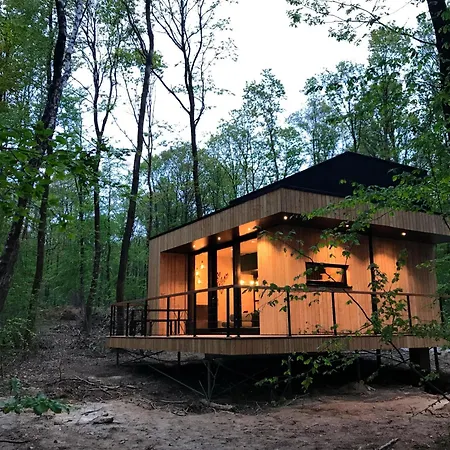Forest Cube Hébergement de vacances