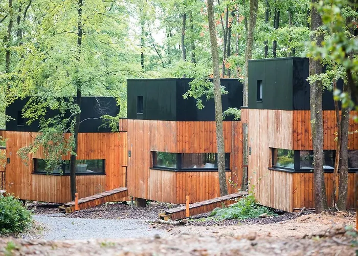 Forest Cube