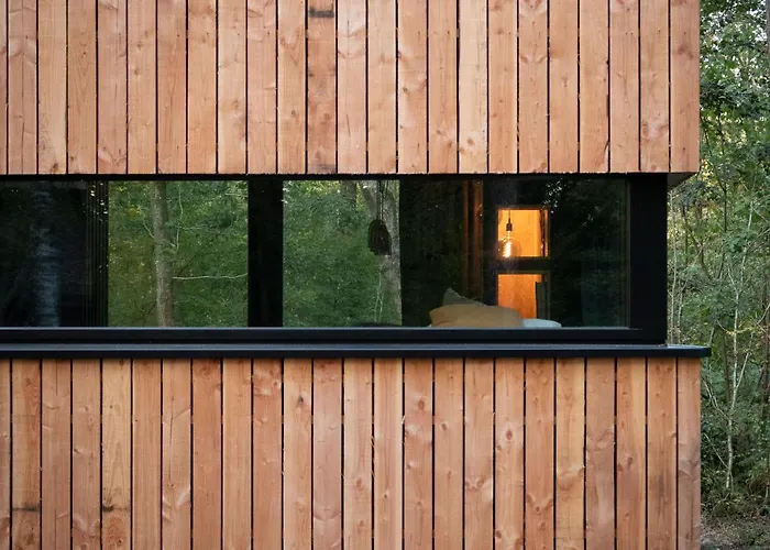 Forest Cube Hébergement de vacances Oignies