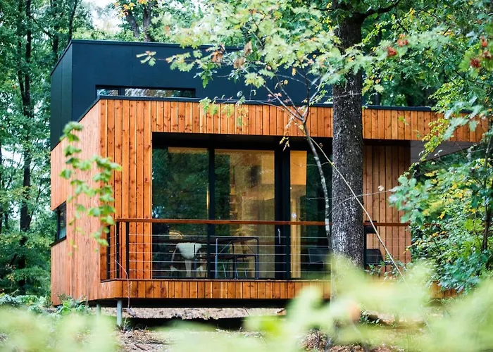 Forest Cube Oignies