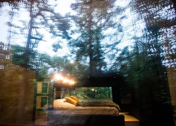 Hébergement de vacances Forest Cube *