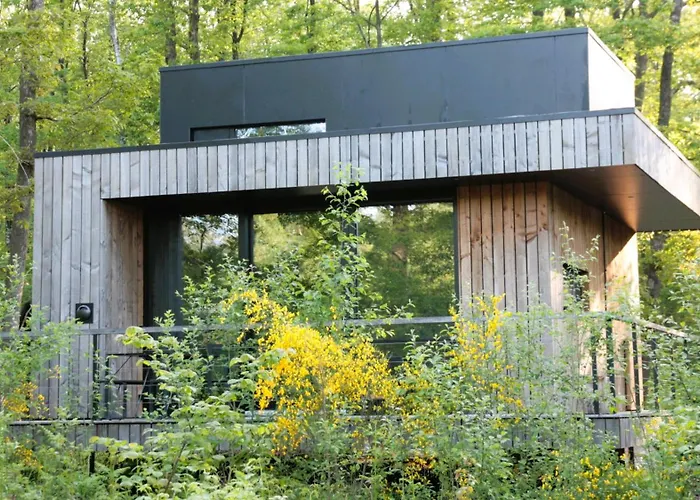 Forest Cube Hébergement de vacances Oignies