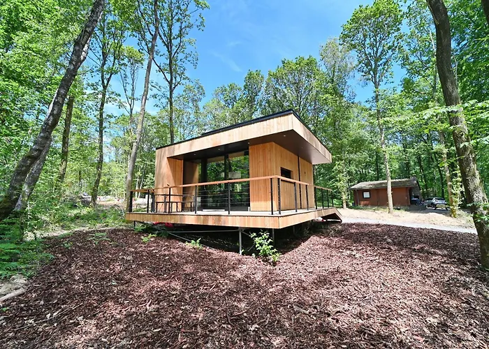 Forest Cube Hébergement de vacances Oignies
