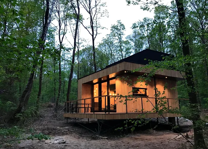Forest Cube Hébergement de vacances