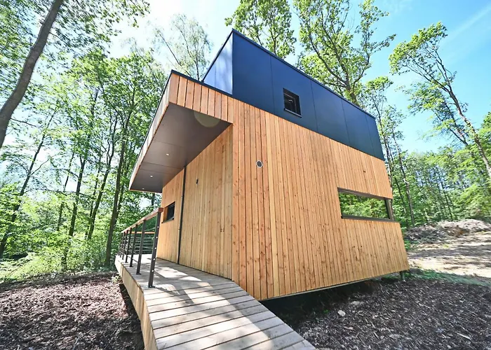 Forest Cube * Oignies